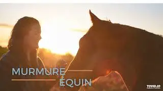 Podcast - 21. Focus race - le Paint Horse