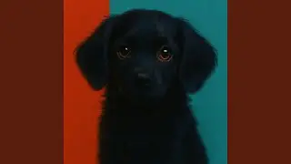 Br Pr dog, M