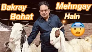 [ New Vlog Bakray Bohat Mehngay Hain 😨😨 ] #foryou #views #vlog #bakraeid2025 #bakra #abidmeharali