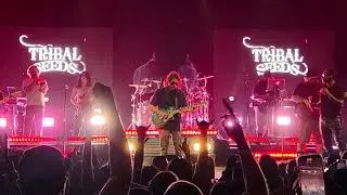 Tribal Seeds - 