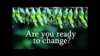 Law of Nature - lessons for Stock market Trading
