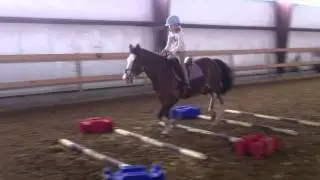 Sweet Meadow Farm: Snickers and Ava going over ground poles