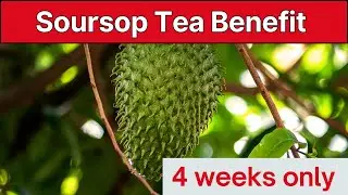 What Happens When You Drink Soursop Tea Every Day?