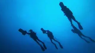 MOOFUSHI SHARK PASS 19 OCT 25