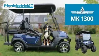 Praxistest WSM MK 1300