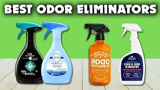 Best Odor Eliminators 2026