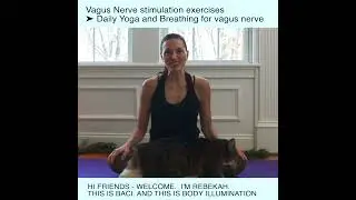 What is the Vagus Nerve and how to stimulate it
