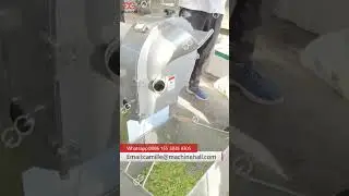 Green Chili Slicing Machine