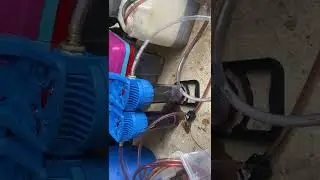 Red diesel color bleaching using decolorizing activated charcoal | #Shorts