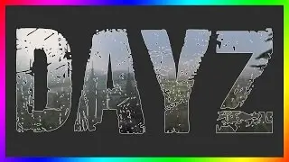 How to Play: DayZ