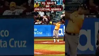 Home run Christian Adames #news #newshorts #lidom #mlb