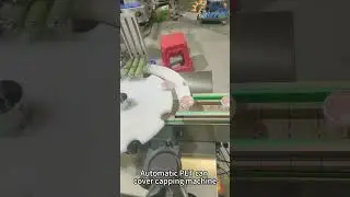 #Automatic PET can #dustproof plastic cover press capping machine, Snap lid pressing #capper #shorts