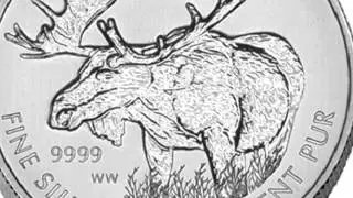 Canadian Wildlife Set