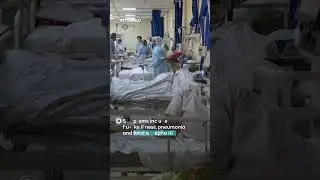 Asia scrambles over Nipah virus outbreak