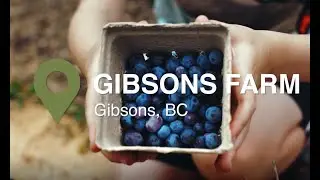 CF Testimonial - Gibsons Farm