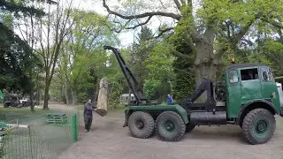 Militant timber tractor at work