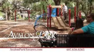 Avalon Park Tavares