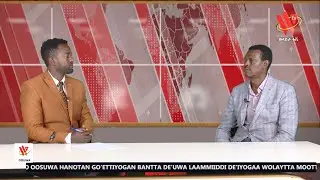 TOHOSSA DALGGA MANTTIYA XAACIYA  KOMISHIINIYA KOMISHIINEERIYA MAAMMO ALAMAAYOY DERE ASAA MAACHCHAA..