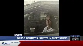 Tatum car break-ins connected to statewide organized fraud scheme, police say