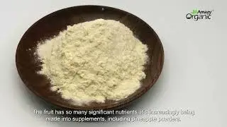 What is Organic Pineapple Juice Powder?