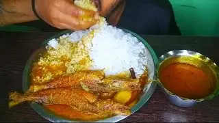 Eating spicy fish curry | spicy fish curry and rice mukbang | fish curry and rice eating | MUKBANG .