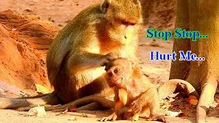 Stop Stop!!!! I'm very Hurt mummy,  poor baby Alba mom Anna still maje baby Alba hurt!