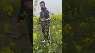 #pehlebhimain #animal #morningvibes #kheti #haryana #happymood #lifestyle #positivevibes #viralvideo