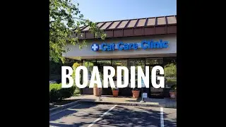BOARDING | Cat Care Clinic Bellevue