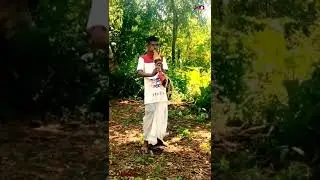 || आदिवासी वाद्य तारपा ||🎷 Tribal instrument Tarpa🎷
