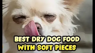 Best Dry Dog Food With Soft Pieces