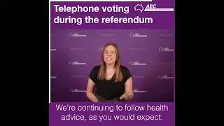 Telephone Voting