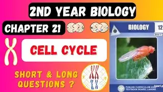12th Class Biology Chapter Cell Cycle | Short  & Long questions | Punjab Board Exams 2024|