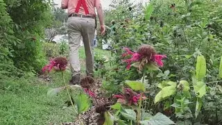 This preserve in Winston-Salem is a celebration of nature