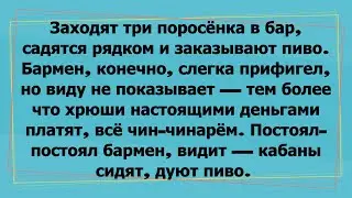 Почему свиньи вообще ходят в бары? Ответ вас убьёт