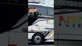 Mecca 36 Not #shortvideo #shortsfeed #shorts #bus #basuri #telolet