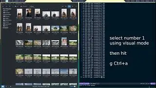How to Resize Images and Rename Batch File with Magick and VIM