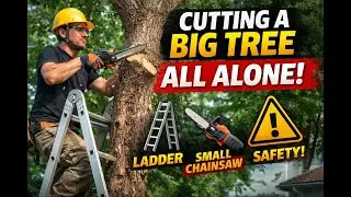 Cutting a Big Tree in the Backyard Alone Using a Small Electric Chainsaw
