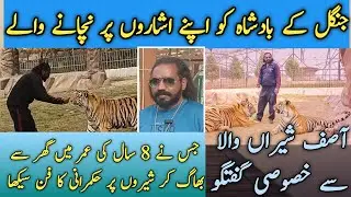 Asif Shero Wala | The Lion King | King of The King | Wild Life | National Geographic | Khabar Azmaa