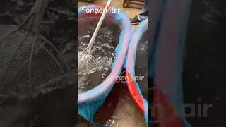 hair care