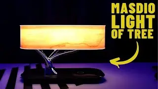 Bedside Smart Lamp with Wireless Charger and Bluetooth Speaker | Ampulla Light of Tree REVIEW