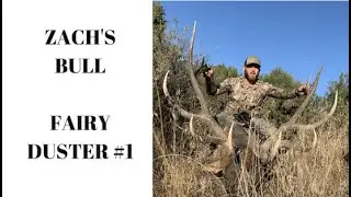 Elk Hunting Success I Fairy Duster #1 Zach