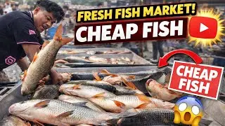 ঢাকায় এত সস্তায় মাছ! | Wholesale Fish Market &ndash; Cheap & Fresh 🇧🇩
