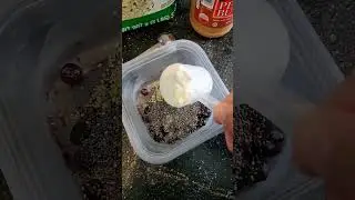high protein Blueberry pudding with Chia and hemp hearts