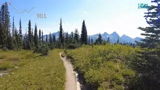 Mount Rainier--Lakes Trail, 4.8 Miles, 7.7 Kilometers | Virtual Trail Running | Treadmill Scenery