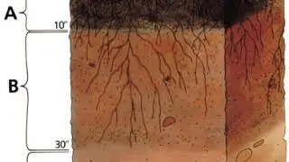 Pore space in soil | Wikipedia audio article