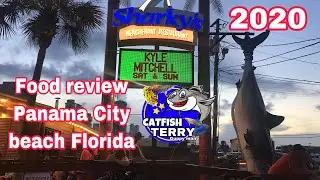 Panama City beach Florida food review sharkys bar & grill