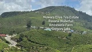 Visit SriLanka/Tea Estate/ Waterfall/ Gregory lake/ Milk farm/@SusanFoodJourny