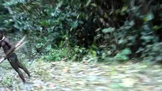 jarawa--in andaman..