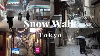 4K Tokyo Snow Walk Mix