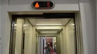 2012 Kone MonoSpace MRL traction elevator @ Schönbrunn ZOO, Vienna, Austria